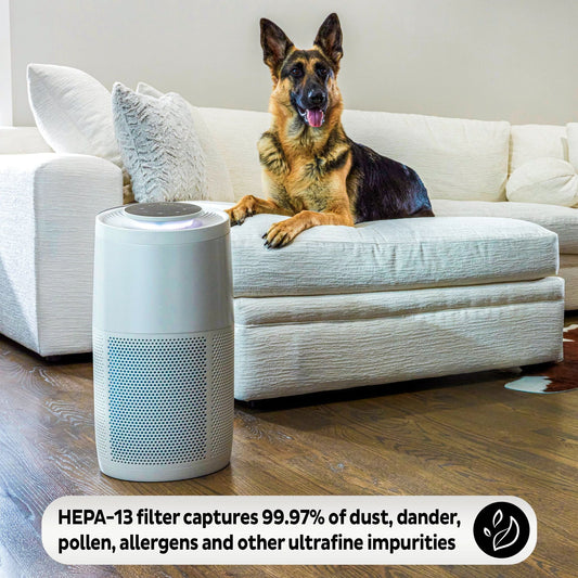 Instant Pot® Air Purifier, Large with Night Mode, Pearl